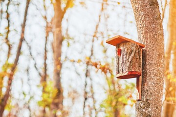 Birds wooden house. Bird's nest made from old wood.