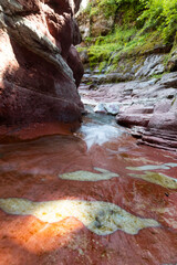 Rushing River Over Rocky Terrain in Waterton Lakes National Park