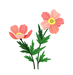 Spring flowers concept. Bloom and blossom pink plants. Wild life and flora, botany. Graphic element for website. Cartoon flat vector illustration isolated on white background