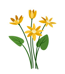 Spring flowers concept. Bloom and blossom yellow plants. Wild life and flora, botany. Aesthetics and elegance. Template and layout. Cartoon flat vector illustration isolated on white background