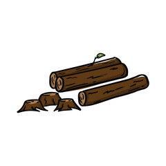 Stumps from felled trees and logs. The problem of deforestation