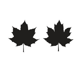 maple leaf silhouettes, maple leaf isolated on white
