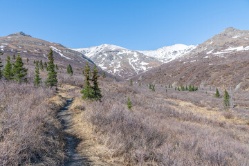 Savage River Alpine Trail in Denali National Park, Alaska, USA