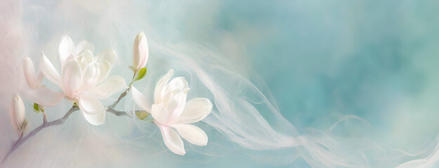 Tapeta, kwiaty wiosenne, biała magnolia - obrazy, fototapety, plakaty
