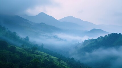 Mountains under mist in the morning Amazing nature scenery form Kerala God's own Country Tourism and travel concept image, Fresh and relax type nature image