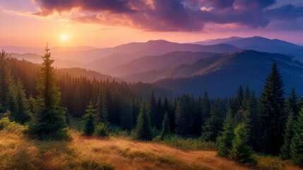 Naklejka na ściany i meble panorama of Carpathian mountains at sunset. beautiful landscape with forested hills and Apetska mountain in the distance