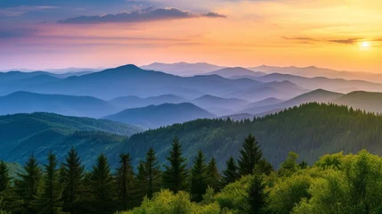 Foto op Plexiglas panorama of Carpathian mountains at sunset. beautiful landscape with forested hills and Apetska mountain in the distance © Emil