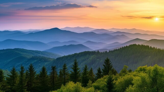 panorama of Carpathian mountains at sunset. beautiful landscape with forested hills and Apetska mountain in the distance