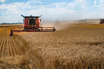 Combine harvests wheat in field.