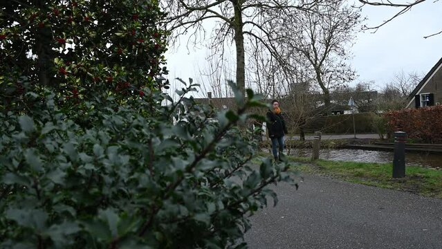 stalker hides behind bushes while watching spying on a single vulnerable woman in the street who is unaware of the unwanted attention. peeping Tom watches lady in her daily routine in secrecy