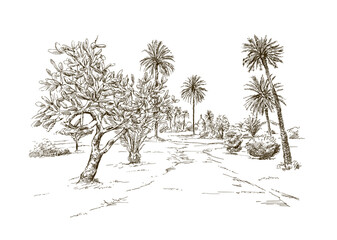 Landscape with palm trees, hand drawn illustration - 728819789