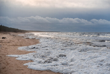 Baltic sea shore at Lilaste, Latvia in February