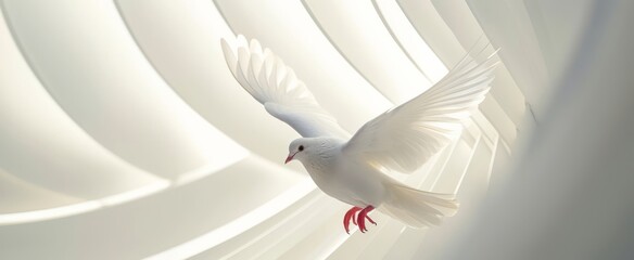 Serene white pigeon in flight, embodying peace and freedom, perfect for tranquil and inspirational themes