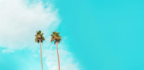Crédence de cuisine en verre imprimé Turquoise Two palm trees with a cloudy blue sky
