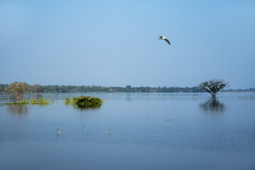 Landschaft in Sri Lanka