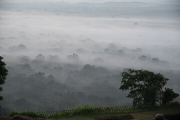 Morgenstimmung am Sigiriya L&ouml;wenfelsen in Sri Lanka mit Nebel