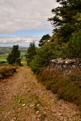 Path in Brandon hill, County Kilkenny, Ireland