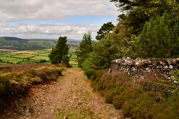 Path in Brandon hill, County Kilkenny, Ireland