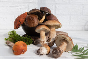 a lot of fresh mushrooms, boletus, blackberries in a bowl
