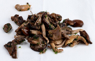 Seasoned mushrooms on white background