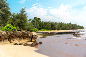 a Hawaiian landscape 