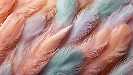 Beautiful feathers closeup background pattern
