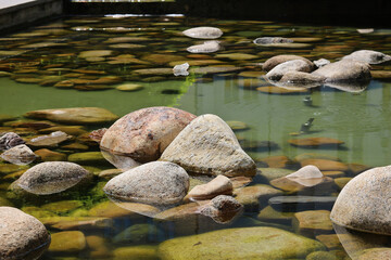 Stones in the pond water