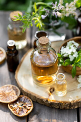 Obraz na płótnie Canvas Concept of alternative herbal medicine. Bottles of tincture or potion, organic essential oils, dry healthy herbs, floral extracts on wooden table. Pure natural ingredients for cosmetic production