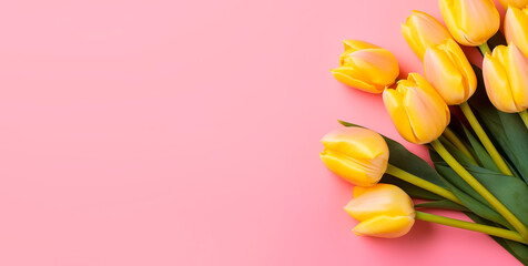 Fototapeta na wymiar A bouquet of yellow tulips lies on a pink background, top view with copy space. Natural background. Banner with tulips