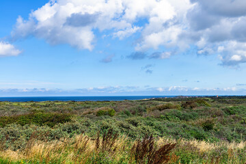 Fototapeta na wymiar Landscape with green grass and bushes by the sea. Sand dunes overgrown with grass on the north sea.
