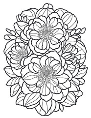 flowers coloring book for children and adults