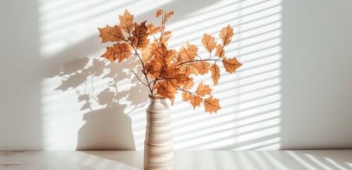 Home interior decor elements. Dry autumn leaves in vase near white wall with sunlight shadows