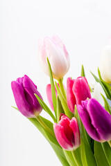 bunch of  colored tulips in a vase with white background