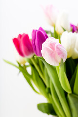 close up of a bunch of colorful tulips in studio