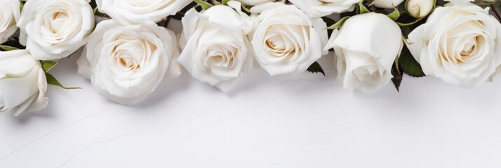 Beautiful banner with white roses background of Mothers, Valentine Day, Birthday, Anniversary, Wedding. Copy space. For advertisement, greeting card mockup, presentation, header, poster, website.