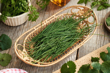 Crow garlic with other wild edible plants harvested in winter - cow parsley and garlic mustard