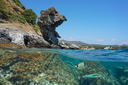 Natural rock formation on the coastline with fish underwater, split view over and under water surface, Mediterranean sea, Spain, Costa Brava, Cap de Creus, Catalonia