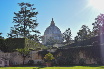 Fototapeta premium Vista de la cúpula de San Pedro desde un jardín en el Vaticano