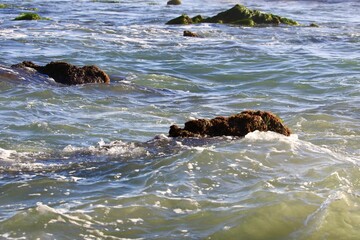 Coral rocks in the shallow seawater