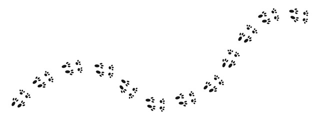 Wet or mud bunny feet prints. Rabbit paw silhouette stamps. Trace of steps of running or walking hare isolated on white background. Vector graphic illustration. © vikusha_art