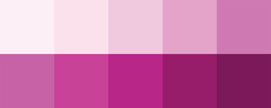 Pink color palette vector illustration