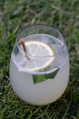 glass of lemonade with a sorbet and mint leaf on the grass