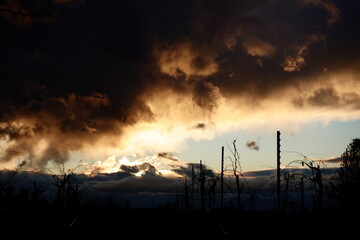 Sunset sky
