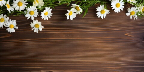Chamomile flowers on wooden table. Soothing herbal tea. Flat layout. Space for text. Medical prevention. Alternative medicine.