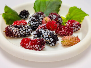 frozen mulberries in a small plate on a white background 