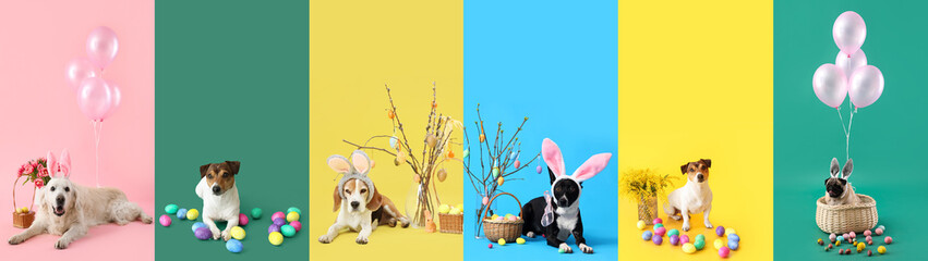 Set of cute dogs with Easter decorations on color background