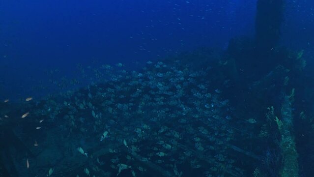 Wreck of the Donator on the Mediterranean Coast of France