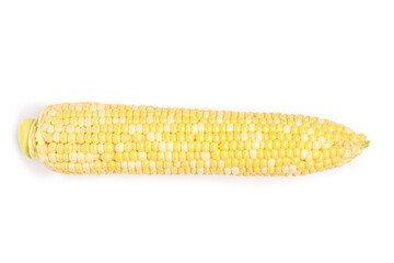 Fresh corn cob on white background