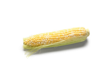 Fresh corn cob on white background