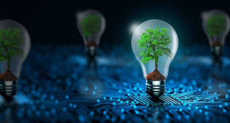 Tree growing on lightbulb with digital convergence and blue network technology background....